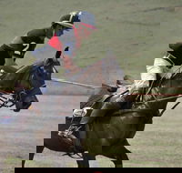 Wirragulla Annual Polo Tournament - Accommodation Newcastle