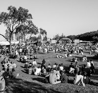 Yours and Owls Festival - Accommodation Newcastle
