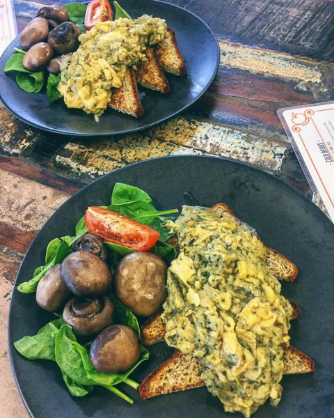 Ipswich 100 - Accommodation Newcastle 1