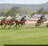 Aggies Race Day - Accommodation Newcastle