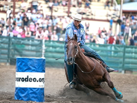 AgriWest Cooma Rodeo - Accommodation Newcastle 1