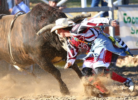 AgriWest Cooma Rodeo - Accommodation Newcastle 2