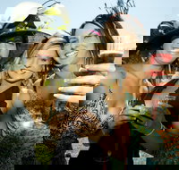 Albury Racing Club Boxing Day Races - Accommodation Newcastle