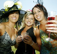 Albury Racing Club January Race Day - Accommodation Newcastle