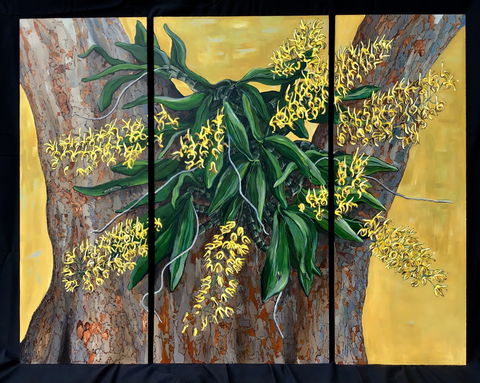 A Still Life - Solo Exhibition  Karen Sedaitis - Accommodation Newcastle 1