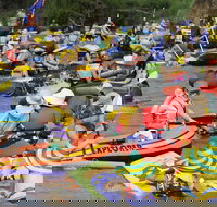 Australia Day Celebrations Gunnedah - Accommodation Newcastle