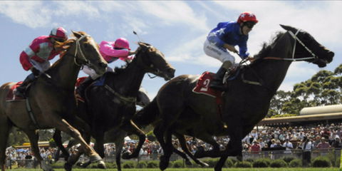 Batemans Bay Cup - Accommodation Newcastle 0
