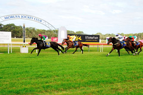 Batemans Bay Cup - Accommodation Newcastle 2
