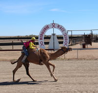 Bedourie Camel and Pig Races and Camp oven Cook-off - Accommodation Newcastle