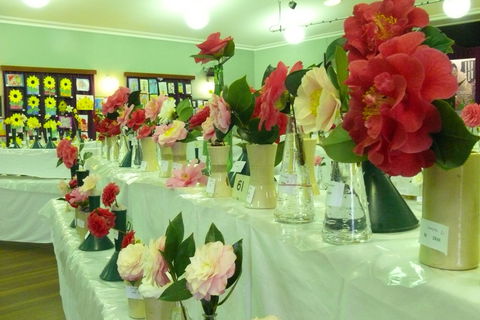 Blackheath Flower And Craft Show - Accommodation Newcastle 1
