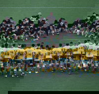 Bledisloe Cup Qantas Wallabies versus All Blacks - Accommodation Newcastle