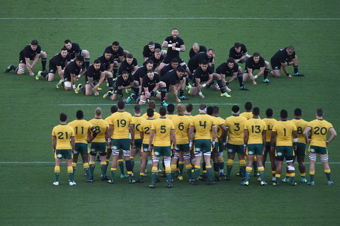 Bledisloe Cup: Qantas Wallabies Versus All Blacks - Accommodation Newcastle 0