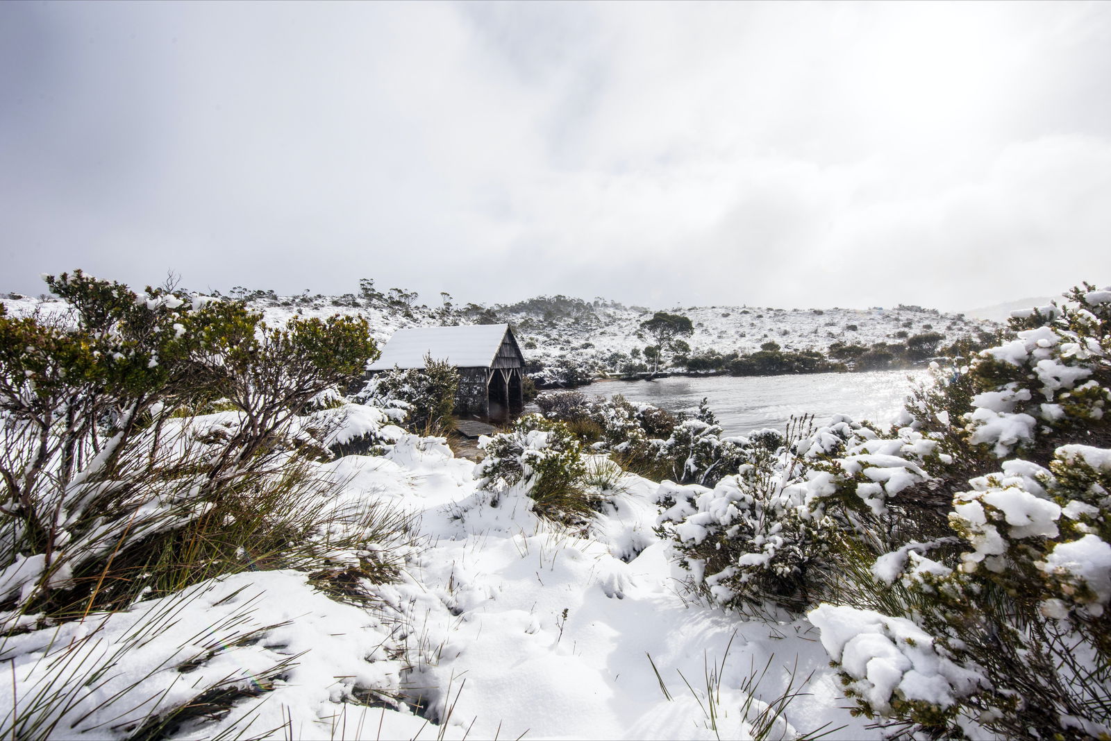 Cradle Mountain TAS Accommodation Newcastle