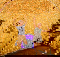 Christmas Lights Spectacular New Year's Eve at Hunter Valley Gardens - Accommodation Newcastle