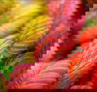 Creative Fibre - Accommodation Newcastle