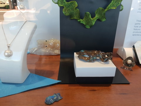 Cuttlefish Art Trail - Cuttlefest 2020 - Accommodation Newcastle 1