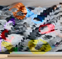 Cuttle-Rock Challenge - CUTTLEFEST 2020 - Whyalla - Accommodation Newcastle