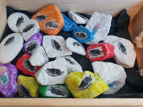 Cuttle-Rock Challenge - CUTTLEFEST 2020 - Whyalla - Accommodation Newcastle 0