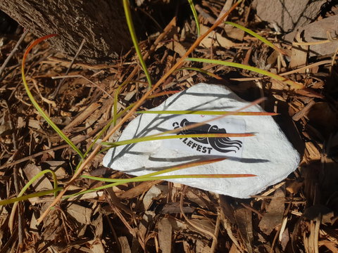 Cuttle-Rock Challenge - CUTTLEFEST 2020 - Whyalla - Accommodation Newcastle 2