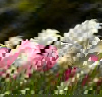 Floriade Reimagined - Accommodation Newcastle