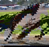 Forbes Show - Accommodation Newcastle