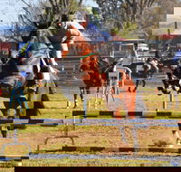 Glen Innes Pastoral and Agricultural Show - Accommodation Newcastle