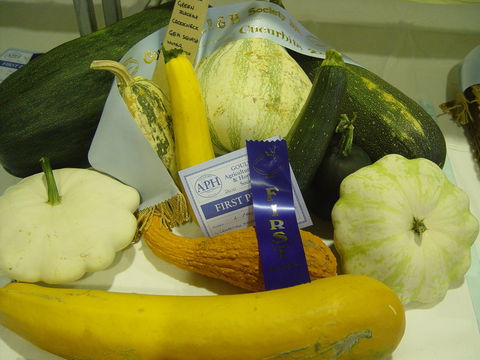Goulburn Show - Accommodation Newcastle 0