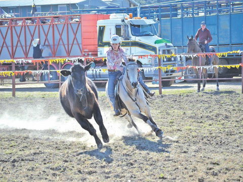 Gresford  Campdraft And Rodeo - Accommodation Newcastle 0