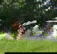 High Country Writers Festival - Accommodation Newcastle