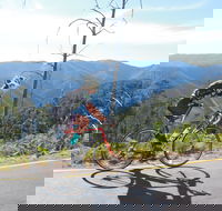 High Country Women's Cycling Festival - Accommodation Newcastle