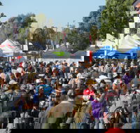 Hunter Valley Caravan Camping 4WD Fish and Boat Show - Accommodation Newcastle