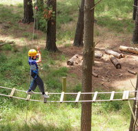 July 2020 Holidays- Go Wild at the Mt Lofty Adventure Hub - Accommodation Newcastle