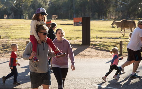 MAAS Group Dubbo Stampede Running Festival - Accommodation Newcastle 1