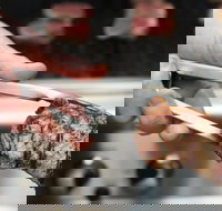 Meat BBQ Cooking Class - Accommodation Newcastle