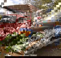 Murphys Creek Markets - Accommodation Newcastle