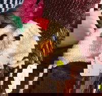 Murrindindi Beanie  Fibre Festival Online