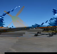 October Weekend Aircraft Showcase - Accommodation Newcastle