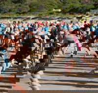 Port Stephens Triathlon Festival - Accommodation Newcastle