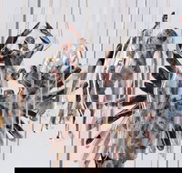 Pulse Perspectives - Accommodation Newcastle