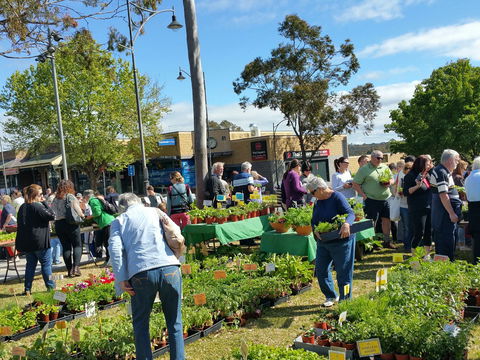 Springwood Growers Market - Accommodation Newcastle 1