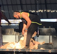 The Shearers  Shindig Thargomindah - Accommodation Newcastle