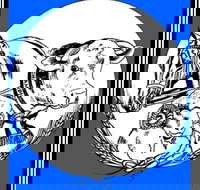 The Manildra Show - Accommodation Newcastle