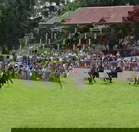 Tumut Boxing Day Races - Accommodation Newcastle