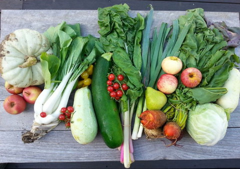 Wingham Farmers Market - Accommodation Newcastle 0