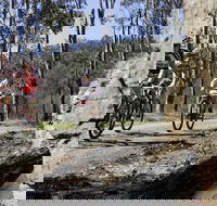 Wollombi Wild Ride Mountain Bike Ride - Accommodation Newcastle