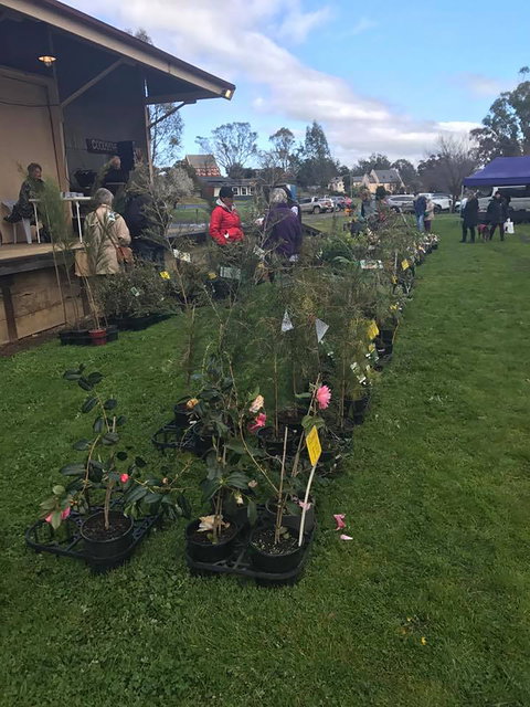 Yea Railway Market - Accommodation Newcastle 2