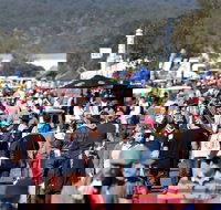 AgQuip - Accommodation Newcastle