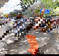 Australian National Busking Championships - Accommodation Newcastle