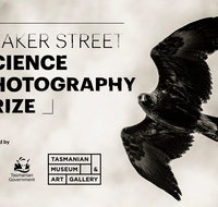 Beaker Street Science Photography Prize - Accommodation Newcastle