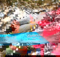 Beach House Hotel Hervey Bay 100 - Accommodation Newcastle